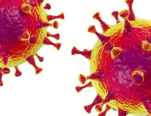 SARS-CoV-2/ Covid-19 Informationen zum Coronavirus